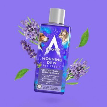 Багатофункціональний концентрат Astonish для миття та дезінфекції Ранкова Свіжість 300 мл &mdash; фото товару